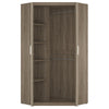 Axton Spuyten Tall Corner Cabinet in Oak/Champagne