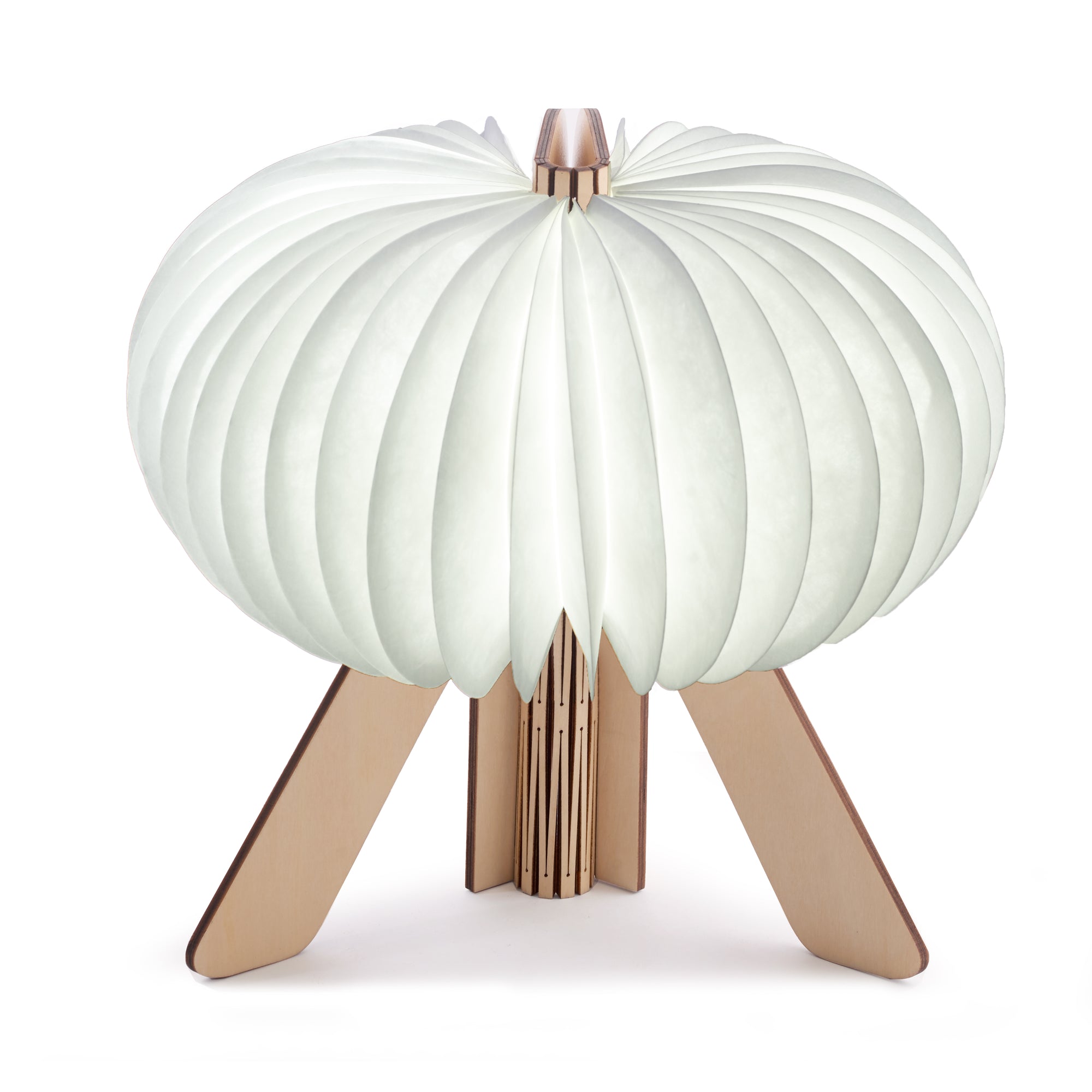 Ging-Ko The R Space Lamp - Maple