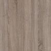 Axton Spuyten Tall 1 Door 2 Drawer Narrow Cabinet in Oak/Champagne